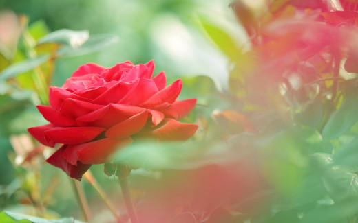 979606 (a): :2880x1800